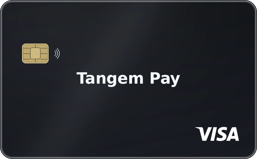 Tangem Pay · Visa